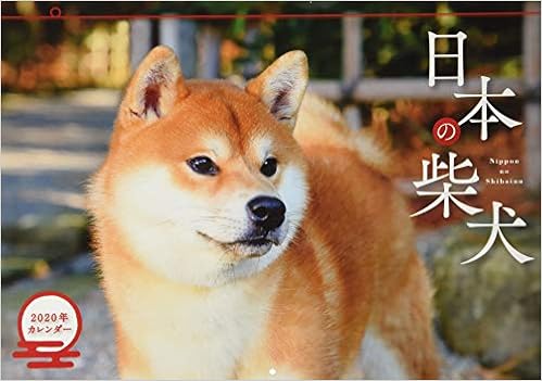 Japanese Calendar Japanese Shiba Inu Calendar 2020 Wall