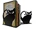 Winterworm Cute Vivid Lovely Persian Cat Nonskid Thickening Iron Metal Bookends Book Organizer for Library School Office Home Study Desk Organizer (Black) primary