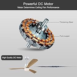 BOJUE 60” Ceiling Fans with Light Remote