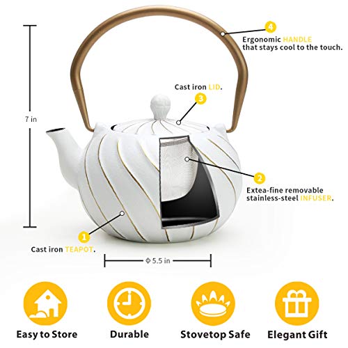 Tea Kettle, TOPTIER Japanese Cast Iron Teapot with Stainless Steel