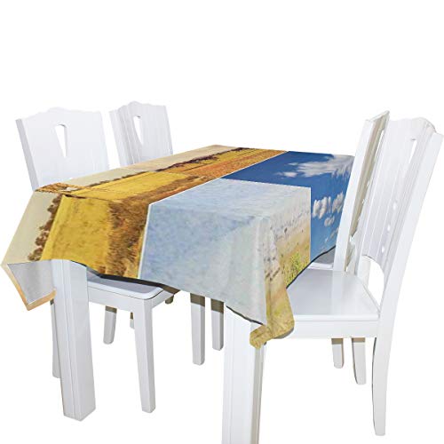 CHASOEA Decor Tablecloth African Safari Collage Lanscape with Native Animals Grassland Savannahs Mamals Rectangular Table Cover 60" x 104"