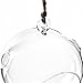 CYS EXCEL Plant Terrarium, Hanging Candle Holder Glass Terrarium, Multiple Size Available, Pack of 12 pcs (H:4.5