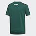 Mexico National Team 2018 World Cup Jersey Replica