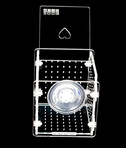 2 Hamiledyi+Aquarium+Isolation+Hatchery+Incubator