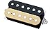 DiMarzio PAF DP103 Humbucker 36th Anniversary Guitar Pickup Black/Cream Regular