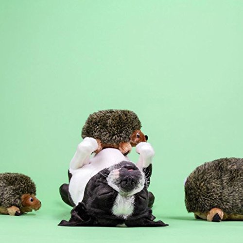 Hedgehogz, Squeak and Grunt Plush Dog Toy
