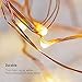 TaoTronics 33ft 100 LED String Lights Plug In 2 Pack Dimmable with Remote Control, Waterproof Decorative Lights for Bedroom, Patio, Garden, Gate, Yard, Parties, Wedding(Copper Wire Lights, Warm White)