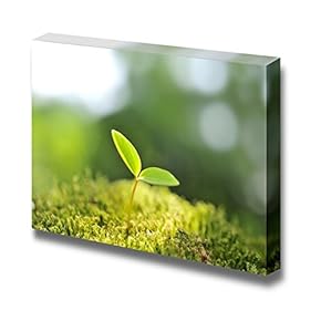 Canvas Prints Wall Art - Green Sprout/Seedling of New Life in Spring | Modern Wall Decor/Home Art Stretched Gallery Canvas Wraps Giclee Print & Ready to Hang - 12" x 18"