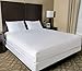 Queen Mattress or Box Spring Protector (8