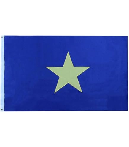 BRUNT 旗 FIRST TIME BRUNT Workwear Flag Banner 3X5Ft Boots Chainsaw Fans Garage