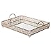 Giovanni Champagne Mirror Top Serving Tray, Rectangular Metal Ornate Accent Vanity Food Decorative Display Platter