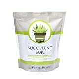 All Natural Succulent and Cactus Soil Mix by Perfect Plants | 4 Quarts for All Succulent Varieties | Formulated for Proper Drainage