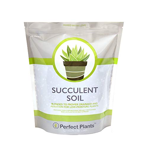 All Natural Succulent and Cactus Soil Mix by Perfect Plants | 4 Quarts for All Succulent Varieties | Formulated for Proper Drainage