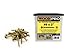WoodPro Fasteners AP8X2-5 T20 5-Pound Net Weight 8 by 2-Inch All Purpose Wood Construction Screws, 800-Piece , Gold