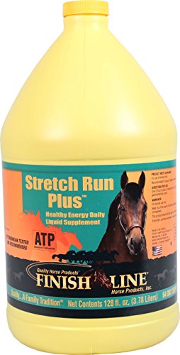 Finish Line 129110 Stretch Run Plus, 1 Gallon