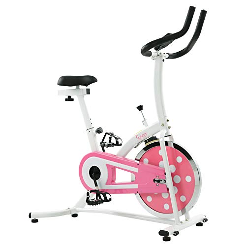 Sunny Health & Fitness Indoor Cycling Exercise Stationary Bike with