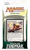 Magic the Gathering: MTG Battle for Zendikar: Intro Pack / Theme Deck: Rallying Cry (includes 2 Booster Packs & Alternate Art Hero of Goma Fada Premium Rare Promo Card) White