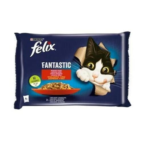 Purina Nourriture pour Chat Fantastic