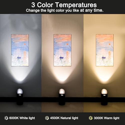 2-Pack Dimmable LED Indoor Floor Spotlights with, Remote and Timer, 3 Adjustable Color Temperature 3000K, 4000K, 6000K - Remote Controlled Uplighting for Living Room Decor, Wall Art, Plants, Corners