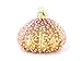 Old World Christmas Ornaments: Sea Urchin Glass Blown Ornaments for Christmas Tree (12254)