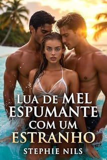 Livro Lua de mel animada com um desconhecido