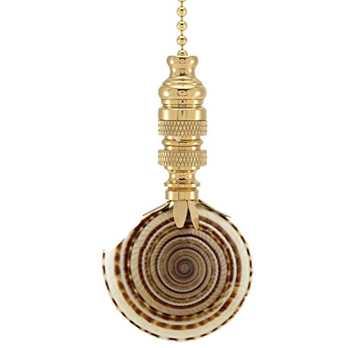 Sun Dial Sea Shell Fan Pull 3"h