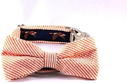 Sportsman Seersucker Bird Dog Bow Tie Collar
