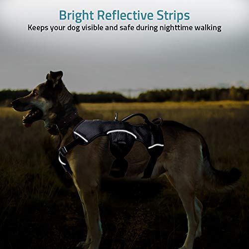 rabbitgoo Escape Proof Dog Harness, Soft Padded Full Body Pet Harness