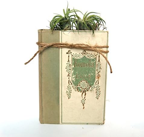 Unique Air Plant Planter with 2 Tillandsia Plants, Handmade from Vintage Books