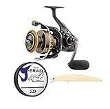 Daiwa BG3000 Reel with Line and SP Minnow Kit Black