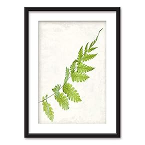 Framed Green Leaf Black Picture Frames White Matting