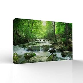 Canvas Wall Art-Sunshine in The Forest -Canvas Prints Home Artwork Decoration for Living Room,Bedroom - 12x18 inches