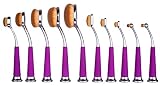Beauty Kate Set of 10 pcs Professional Oval Pipe Makeup Brush Set (Purple+Silver)