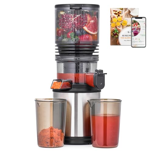 AMZCHEF Cold Press Juicer Machines, Slow Masticating Juicer with Low Noise DC Motor & Triple Filter, 160mm Wide Chute & 2L Capacity for Whole Fruits and Vegetables, Easy to Clean, Stainless Steel