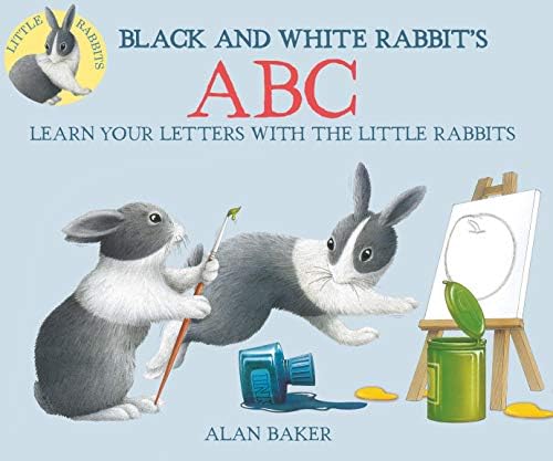 Amazon.com: Gray Rabbit's Odd One Out (Little Rabbit Books