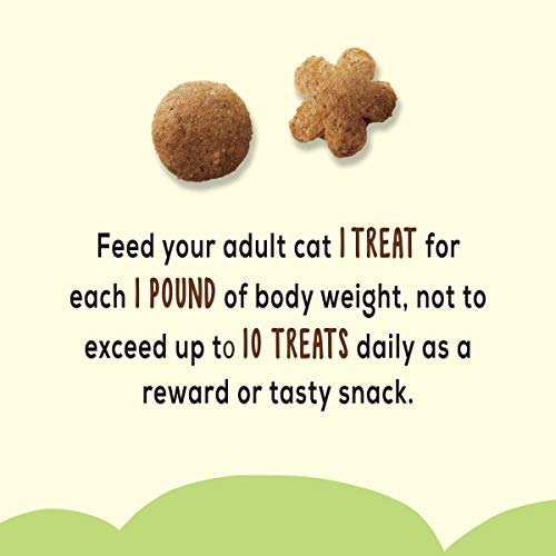 PURINA FRISKIES MADE IN USA FACILITIES, NATURAL CAT TREATS, PARTY MIX NATURAL YUMS CATNIP FLAVOR – 20 OZ. CANISTER