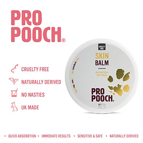 Pro Pooch Itchy Skin Dog Balm For Dogs w/ Sensitive Skin Helps