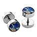PiercingJ 12pcs 16G Stainless Steel Stud Barbell Earrings Fake Cheater Illusion Plug Gauge 0G Look