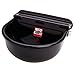 Little Giant® Automatic Livestock Waterer | Epoxy Coated Automatic Stock Waterer for Horses, Cows and Hog | Auto Horse, Pig, and Cattle Drinker
