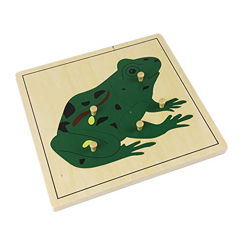 Montessori Frog Puzzle