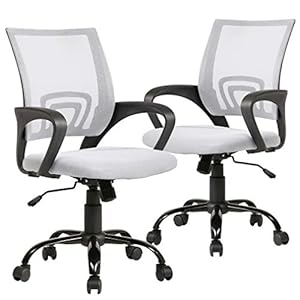 Office Chair Desk Chair Mesh Computer Chair Back Support Modern Executive Adjustable Chair Task Rolling Swivel Chair for Women,Men(2 Pack) (Black)