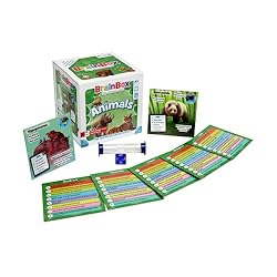 Green Board Games BrainBox