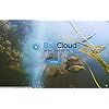 BaitCloud-Fish-Attractant-Tube-of-3