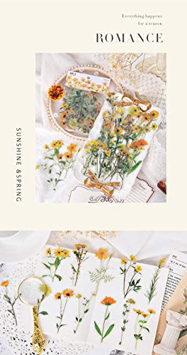 Molshine 240pcs PET Transparent Decorative Stickers -Flowers Plant Series Decals for DIY,Personalize,Bullet Diary Decoration,Laptops,Scrapbook,Luggage,Cars,Books -6 Packs of Different Styles