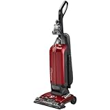 Hoover Cleaner UH30600
