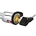 Trailer Hitch Lock 1/2