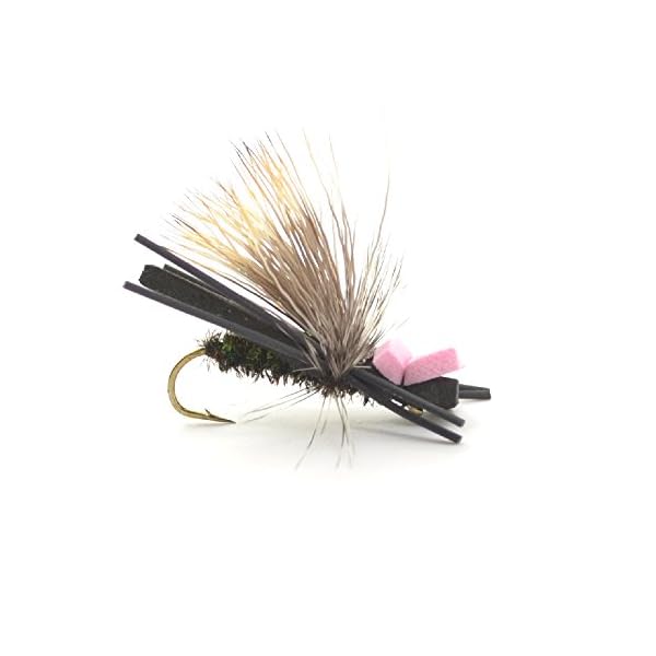 Trout-Fly-Assortment-Four-Best-Grasshopper-Trout-Dry-Flies-Collection-1-Dozen-Flies-4-Hopper-Fly-Patterns