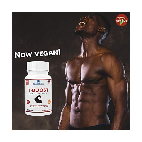 Testosterone-And-Libido-Booster-For-Men-By-Opal-Fitness-Anabolic-Male-Enhancing-Capsules-With-Maca-Root-Gingko-Biloba-Korean-Ginseng-Reduce-Stress-Cortisol-Produced-In-The-UK-120-Capsules Testosterone And Libido Booster For Men By Opal Fitness - Anabolic Male Enhancing Vegan Capsules With Maca Root, Ginkgo…