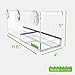 Yardly Noticed Window Bird Feeder with Removable Tray, Drain Holes, Extended Perch, 4 Suction Cups - Crystal Clear See Through Design 2017 - See Wild Birds Up Close, Great for Kids & Cats