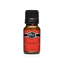 Campfire Fragrance Oil - Premium Grade Scented Oil - 10ml